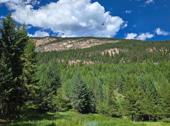 A green mountainside